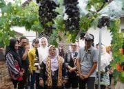 Meidawati Samsudin & Agnesia Marindo Petik Anggur di DPD ASPAI Pringsewu