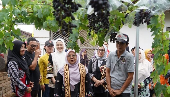 Meidawati Samsudin & Agnesia Marindo Petik Anggur di DPD ASPAI Pringsewu