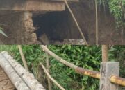 Pondasi Jembatan Ambrol, Warga Pekon Sinar Jawa Kecamatan Air Naningan Harapkan Respon Bupatinya