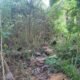 Cinta Terlarang Buat Heboh Pekon Wates ,Pringsewu Dan Sekitarnya