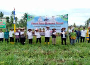 BUMDes Alam Jaya Sukses Budi Daya Bawang Merah, Dongkrak Ketahanan Pangan dan Ekonomi Warga