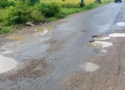 GORONG-GORONG AMBLES DI JALAN PROVINSI PRINGSEWU, TIGA PENGENDARA JATUH, KORBAN LUKA RINGAN