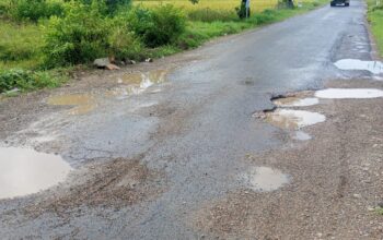 GORONG-GORONG AMBLES DI JALAN PROVINSI PRINGSEWU, TIGA PENGENDARA JATUH, KORBAN LUKA RINGAN