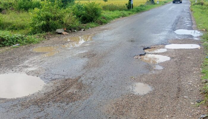 GORONG-GORONG AMBLES DI JALAN PROVINSI PRINGSEWU, TIGA PENGENDARA JATUH, KORBAN LUKA RINGAN