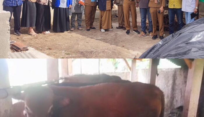 BUMDes Arta Jaya Pekon Yogyakarta Selatan ,Pringsewu Usaha BUMDes dan Ketahanan pangan Berjalan Sebagai Mana Mestinya