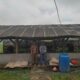 Program Ketapang Penggemukan Sapi Di Pekon Kediri ,Pringsewu Sudah Jual Dua Ekor