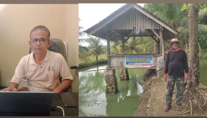 Usaha Budidaya Ikan Air Tawar ,Ketapang ,Di Pekon Bulurejo ,Gadingrejo ,Selalu Ada Yang Siap Di Jual