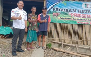 Program Ketapang Penggemukan Sapi ,BUMDes Arta Guna , Di Pekon Wates ,Pringsewu Tidak Bisa Dibantahkan Lagi “Tetap Harus Maju “