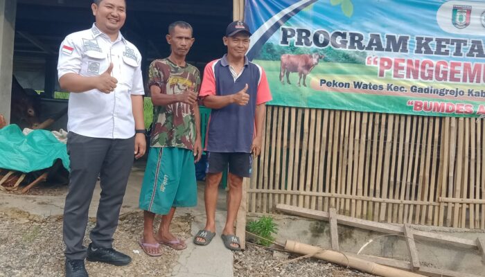 Program Ketapang Penggemukan Sapi ,BUMDes Arta Guna , Di Pekon Wates ,Pringsewu Tidak Bisa Dibantahkan Lagi “Tetap Harus Maju “