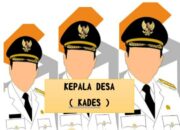 Kepala Pekon Bukan Pejabat Negara ,Tapi Penyelenggara Negara
