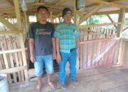 Ketahanan Pangan BUMDes Harapan Maju ,Pekon Rantau Tijang ,Pringsewu ,Penggemukan Kambing Didukung Semua Pihak
