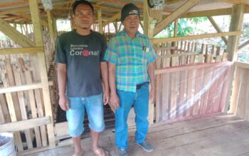 Ketahanan Pangan BUMDes Harapan Maju ,Pekon Rantau Tijang ,Pringsewu ,Penggemukan Kambing Didukung Semua Pihak