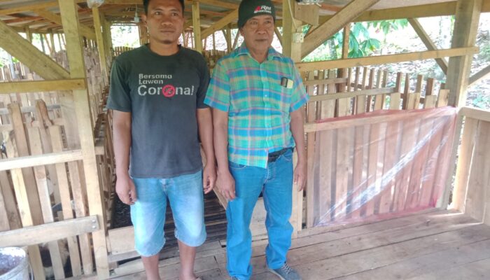 Ketahanan Pangan BUMDes Harapan Maju ,Pekon Rantau Tijang ,Pringsewu ,Penggemukan Kambing Didukung Semua Pihak