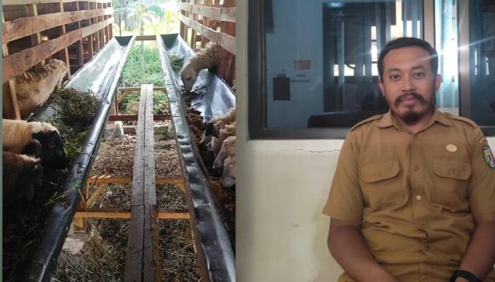 “Dikelola Oleh Orang Yang Memiliki Keahlian Di Bidangnya “Program Ketapang Di Pekon Wonodadi Utara,Pringsewu Terus Berkembang