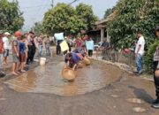Gelar Aksi warga way khilau panen ikan lele sebagai protes warga jalan rusak di way khilau pesawaran