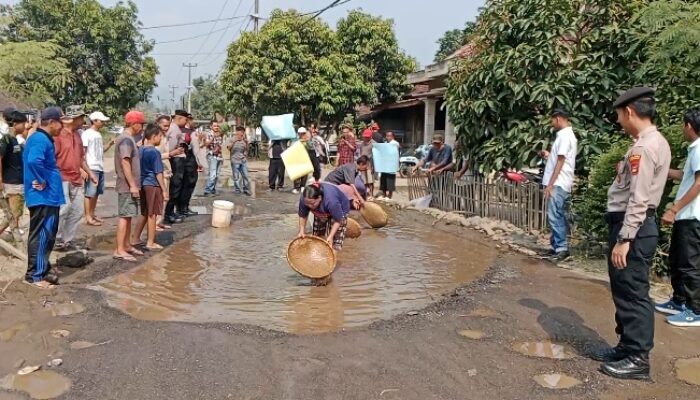 Gelar Aksi warga way khilau panen ikan lele sebagai protes warga jalan rusak di way khilau pesawaran