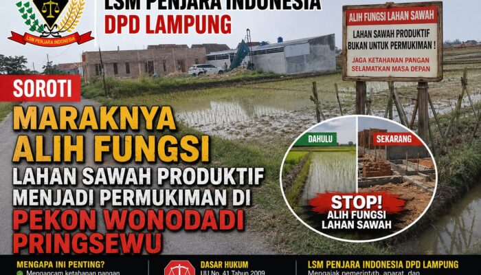 LSM Penjara Indonesia Soroti Maraknya Alih Fungsi Sawah Produktif di Pekon Wonodadi, Pringsewu