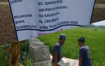 Pelaksana P3A Way Padang Ratu I,Pekon Wonodadi KSB Tidak Bekerja Tetap Dibayar