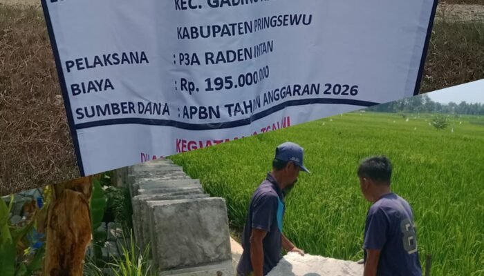 Pelaksana P3A Way Padang Ratu I,Pekon Wonodadi KSB Tidak Bekerja Tetap Dibayar