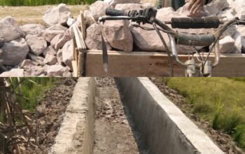 Proyek P3-TGAI, P3A Atas Usulan Drs. Mukhlis Basri anggota DPR RI Di Pekon Sukorejo Sangat Bermanfaat Bagi Petani